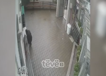 Vidhet kasaforta në një xhami në Prizren