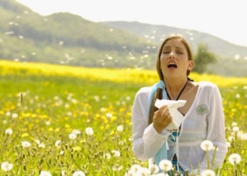 Lehtësimi i alergjisë me preparate natyrale