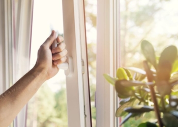 Disa mënyra të thjeshta se si mund të pastroni ajrin në shtëpi