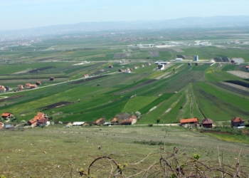 Të mbjella dhe substanca kancerogjene: Tregu i Kosovës për pesticide të pasigurta dhe të paligjshme