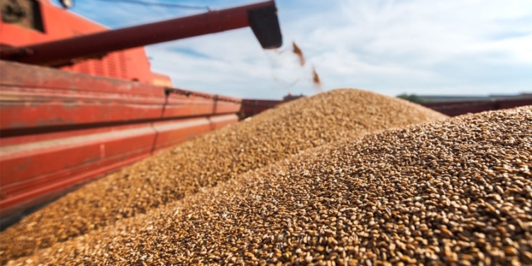 Turqia dhe Rusia arrijnë marrëveshje mbi eksportin e grurit ukrainas