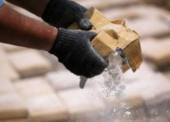 Gjenden 300 kg kokainë në dërgesën e bananeve në Greqi