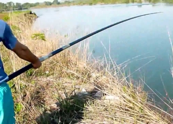 Dërgohet në mbajtje personi që peshkoi kundërligjshëm në Lumbardh