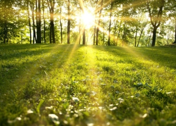 Këshilla si të qëndroni të hidratuar në këto ditë të nxehta