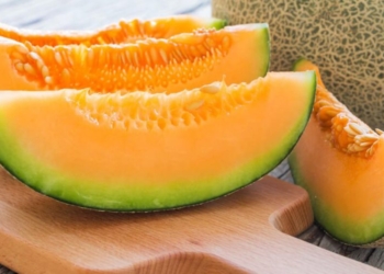 Vlerat dhe përfitimet e pjeprit për shëndetin