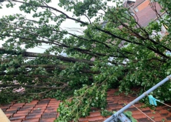 Podujevë: U ra lisi në veturë, tre persona përfundojnë në spital