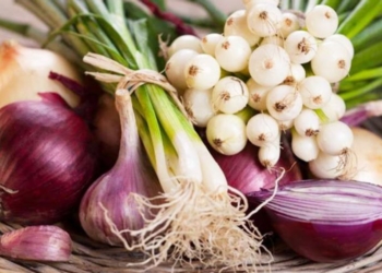 Antibiotikët natyralë që shkatërrojnë infeksionet pa efekte anësore