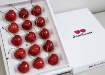 Dalin në ankand qershitë prej “ari”, shiten për çmimin marramendës