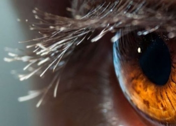 Disa të vërteta dhe të pavërteta lidhur me sytë dhe shikimin