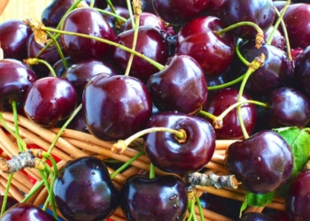 Përveç shijes së mirë, këto janë dobitë nga konsumimi i qershisë