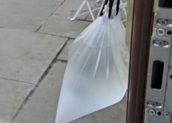 Zgjidhja e lehtë për të reduktuar numrin e insekteve në shtëpinë tuaj