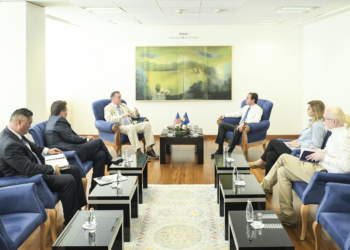 Kurti: Na duhet ndihma e ShBA-së për t’u bërë pjesë e Programit Partneriteti për Paqe