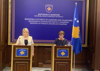 MPJD prezanton dy projekte për diasporën