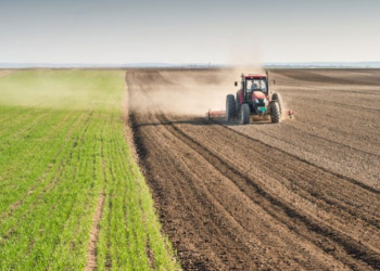 Hapet periudha e aplikimit për grante në bujqësi dhe zhvillim rural