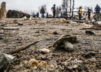 Të paktën 353 fëmijë ukrainas të vrarë si rezultat i pushtimit rus