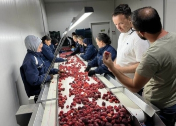 Ministri Peci vizitoi fermerët në ,,Ditën e Mjedrës”