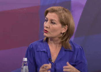 Lama: Ndërtimi i një termocentrali me më pak ndotje të ambientit s’u lejua nga mafia energjetike