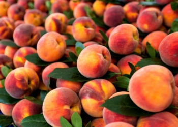 Frutat me bërthamë – Si t’i përdorni dhe vlerat e tyre