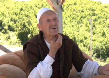 Policia serbe e rrahu dhe detyroi të gëlltiste briskun, shkak një foto e Luigj Gurakuqit