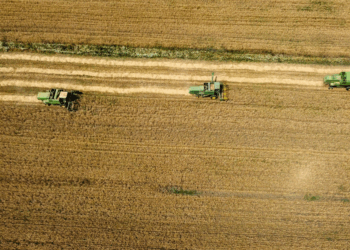 Rreziku nga mungesa e grurit në Kosovë