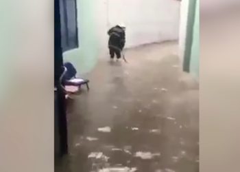 Uji depërton në bodrumin e Klinikës së Onkologjisë, ndërpriten shërbimet me Radioterapi