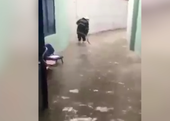 Onkologjinë e mori uji, Kosova planifikon t’i dërgojë pacientët për trajtim në Shqipëri