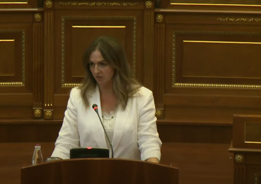 Nagavci: Kemi ndarë 5 milionë euro për ndërtimin e 6 çerdheve të reja në Kosovë