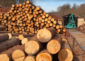 Një metër dru në Prishtinë po shitet deri në 80 euro, mund të shtrenjtohet edhe më shumë