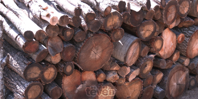 Një metër dru nga 55-60 euro, qytetarët thonë se kjo është e papërballueshme