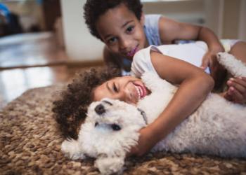 8 gjërat që mëson nga bashkëjetesa me një qen