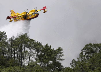 Vala e të nxehtit në Evropë, thatësirë dhe zjarre në mbarë kontinentin