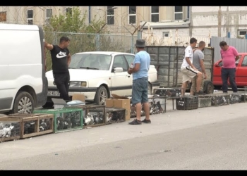 Komuna bën thirrje për lirim të hapësirave publike në afërsi të “Tregut të Automjeteve”