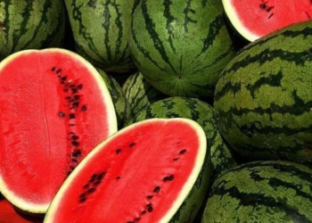 Arsyeja pse s’duhet ta vendosni shalqirin në frigorifer