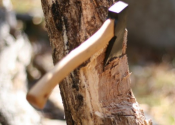 Gjatë prerjes së drunjve në pyll, vdes një burrë nga Deçani