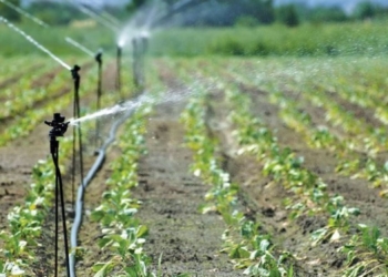 Shkaktoi dëme në sistemin e ujitjes nga Ibër Lepencit, arrestohet drenicaku