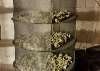 Shkatërrohet një laborator droge në Zubin Potok, arrestohen gjashtë persona