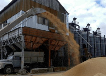 Kubrakov: Dërgesat e para të grurit nga Ukraina mund të bëhen këtë javë