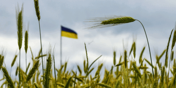 Gjermania planifikon të transportojë me trena drithërat ukrainase