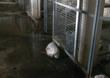 Anulohet kontrata për përfundimin e banesave sociale në Prizren, shkak ngritja e çmimeve