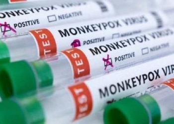 Gjermani: Vajza katërvjeçare infektohet nga lia e majmunit