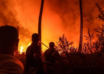 ​BE regjistron zjarret më të këqija pyjore që nga viti 2006