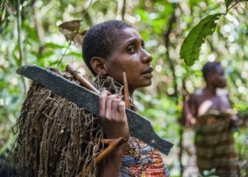 Fisi Mbuti: Jeta e pazakontë e grave më të shkurtra e më të forta në botë