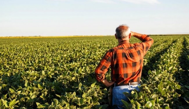 ASK: Rriten çmimet e produkteve bazë në bujqësi