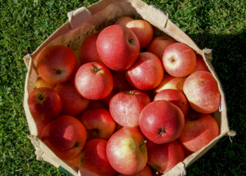 Si t’i ruani mollët e freskëta