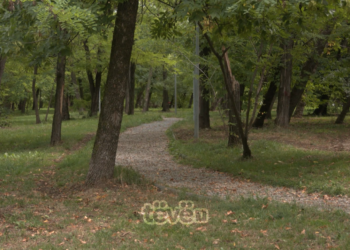 Dhunimi i 11-vjeçares në Prishtinë, paraburgim për dy të miturit, arrestohet edhe i dyshuar i pestë