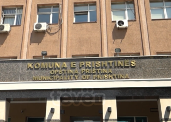 Subvencione për nënat lehona me asistencë sociale