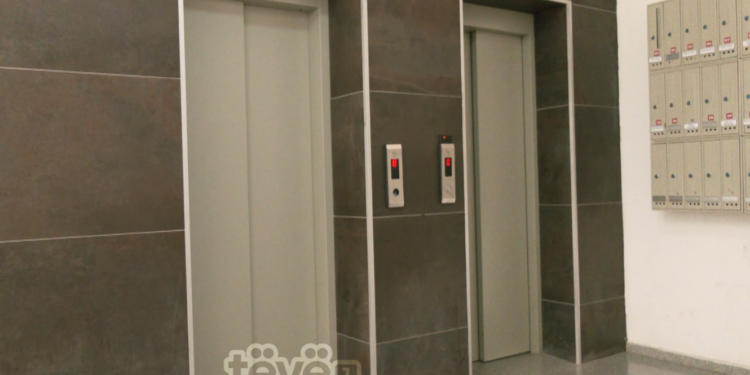 29 vjeçarja pëson lëndime të rënda trupore, ashensori lëshohet me shpejtësi tre kate