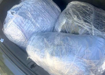 Policia konfiskon 27 kg marihuanë në veturën e një qytetari nga Graqanica