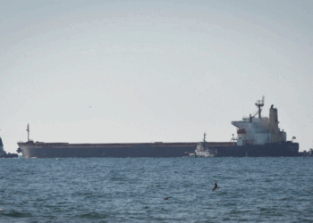 Ukraina thotë se nga shtatori mund të eksportojë 3 milionë tonë drithëra