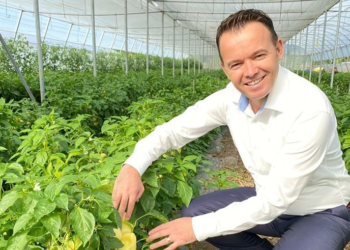 200 ton speca somborkë prodhim vendor do të nisen për eksport në Suedi